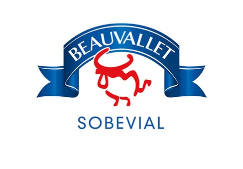 Logo beauvallet sobevial 2