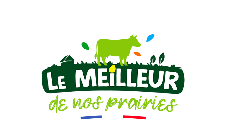 Page lmp logo